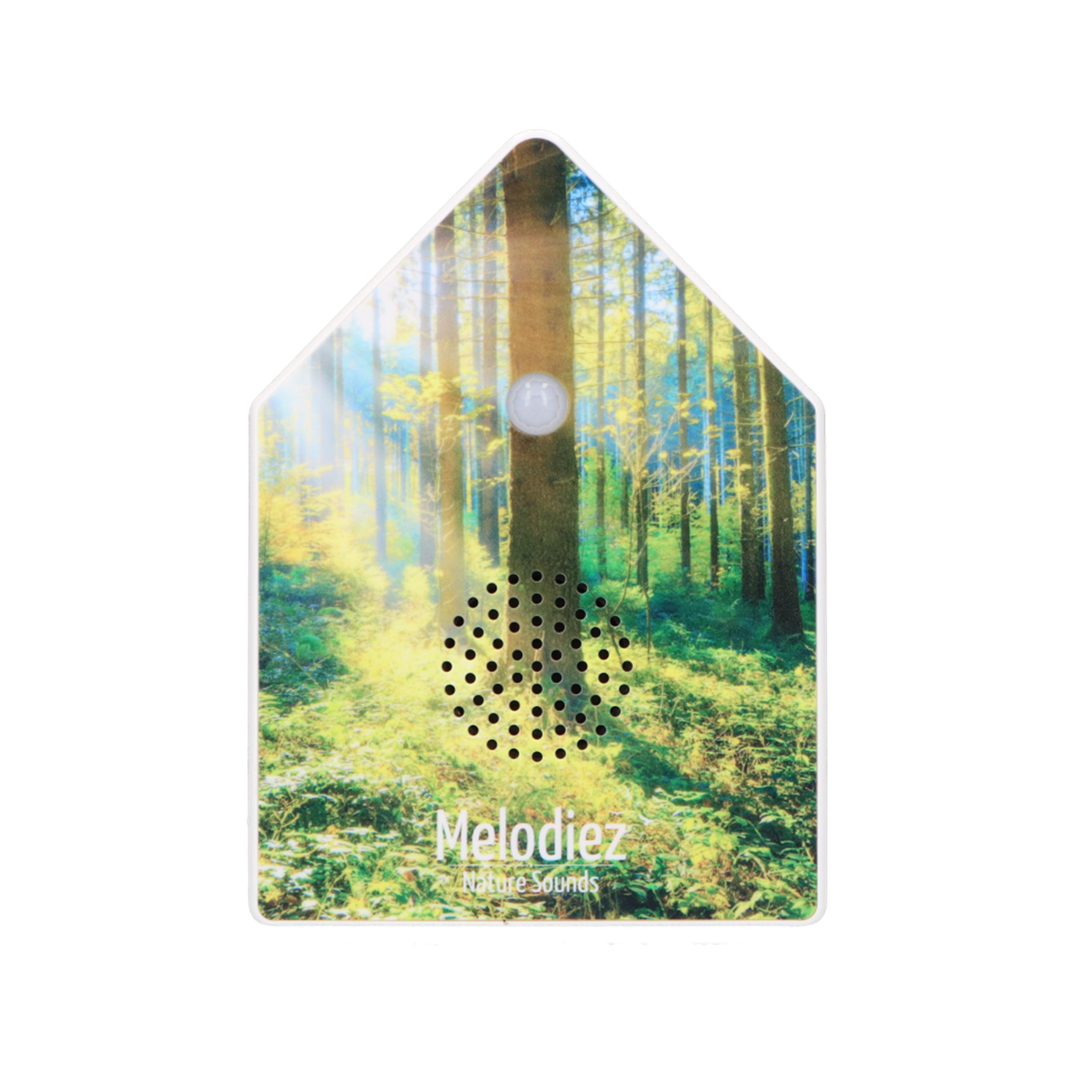 Melodiez Nature Box Forest Light: Vrijstaande productfoto