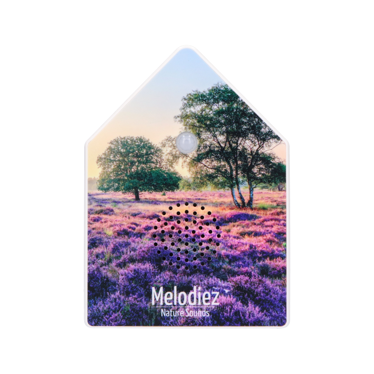 Melodiez Nature Box Lavender Dawn: Vrijstaande productfoto