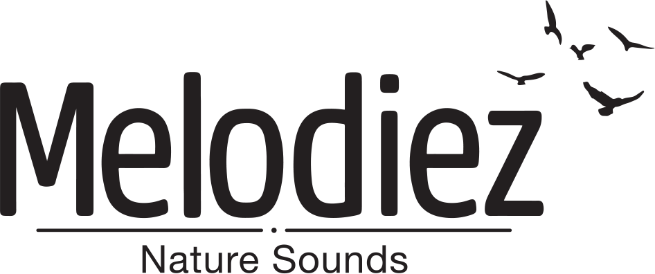 Melodiez – Vogelhuisje met geluid Logo